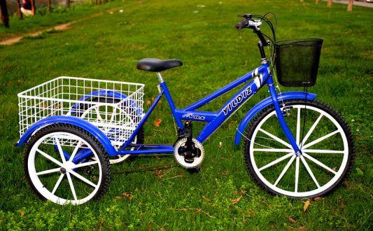 3 Tekerlekli Sepetli Kargo Bisikleti Kargo Disk Model4