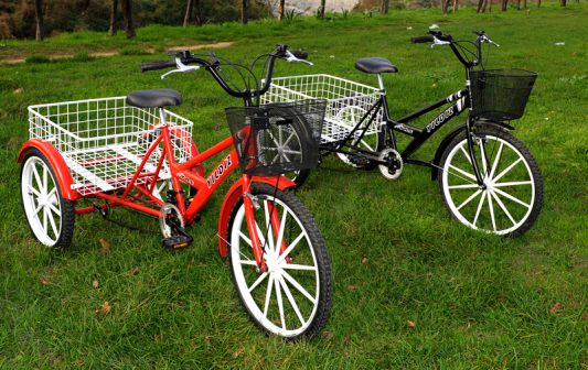 3 Tekerlekli Sepetli Kargo Bisikleti Kargo Disk Model5