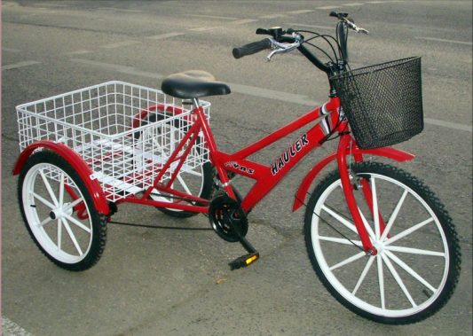 3 Tekerlekli Sepetli Kargo Bisikleti Kargo Disk Model6