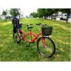 Tandem Bebek Koltuklu Bisiklet - Tandem Ailebiss Model - Görsel 6
