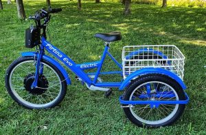 3 tekerlekli elektrikli bisiklet firtina model3